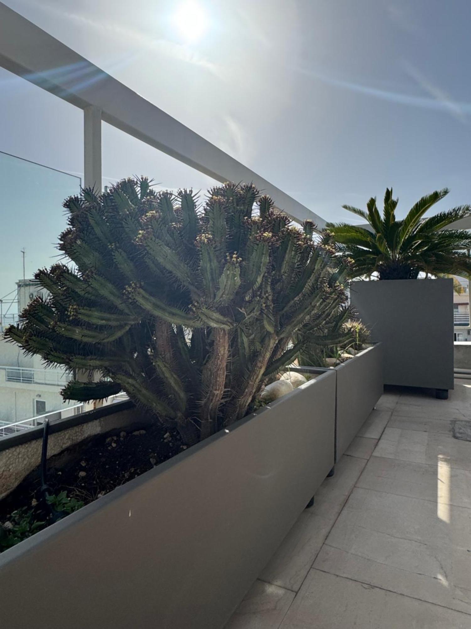 Sea Horizon Penthouse Flat Apartamento Atenas Exterior foto